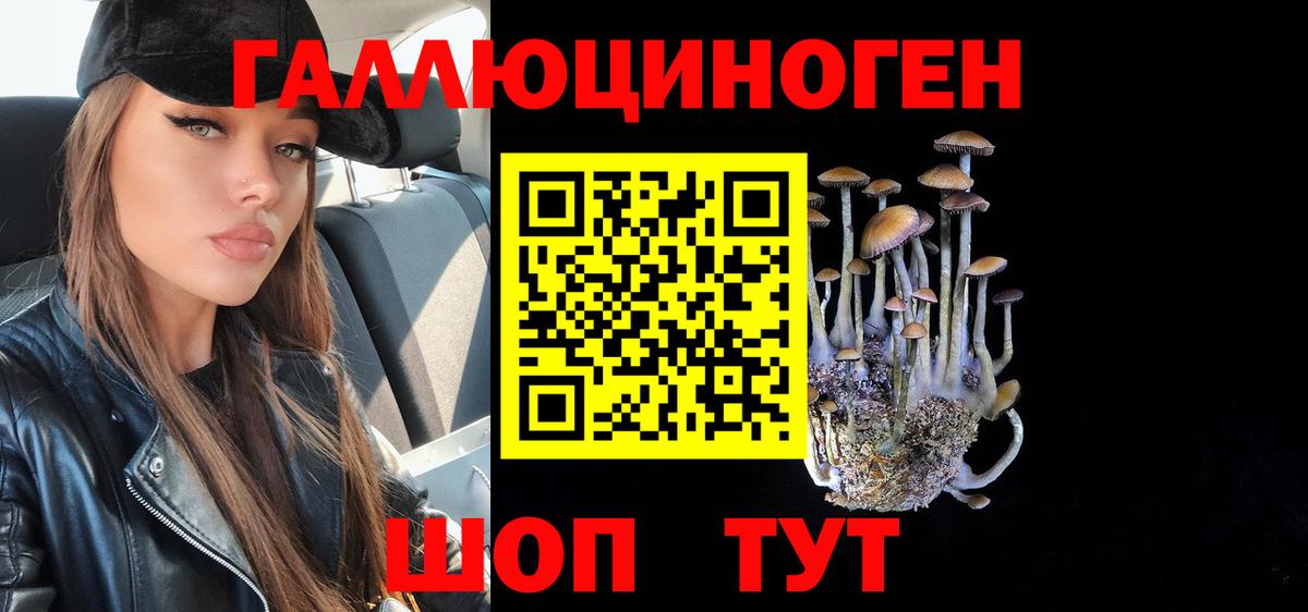 Псилоцибиновые грибы ЛСД  Вход с VPN  Зима  Галлюциногенные грибы MAGIC MUSHROOMS 